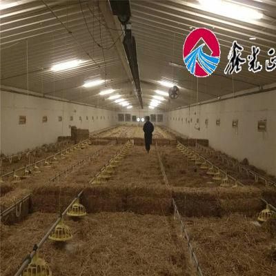 Chinese Animal Broiler Farm Equipment