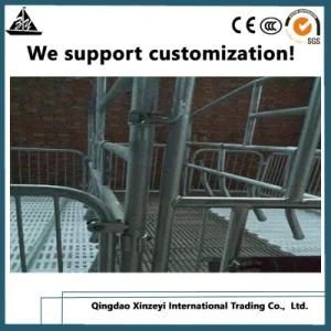 Premium Pig Equipment Farrowing Crate Factory