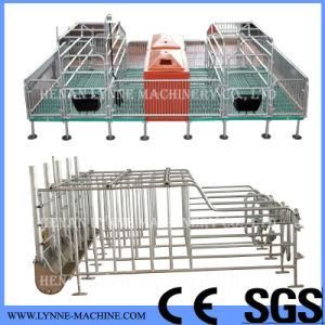 Hot DIP Galvanized Steel Pig Crates with Plastic Slat for Sale