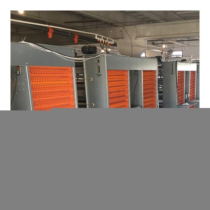 Fully Automated Bird Layer Poultry Rearing Battery Chicken Cages for Sale From China