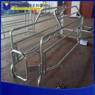 Animal Husbandry Equipment Galvanizing Sow Gestation Pens