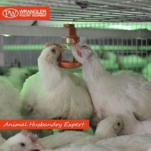 High Quality Automatic Nipple Drinker for Poultry Farm