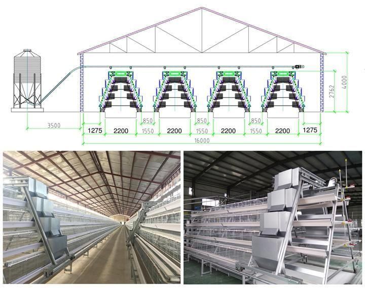 Hot Galvanized Poultry Layer Cages
