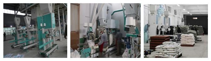 3t Sesame Seed Destoner Processing Machinery