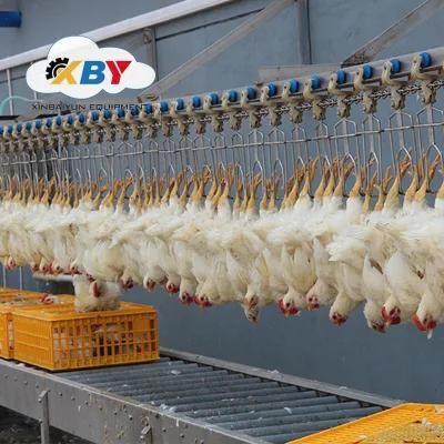 Abattoir Chicken Slaughter Handling Line Slaughterhouse