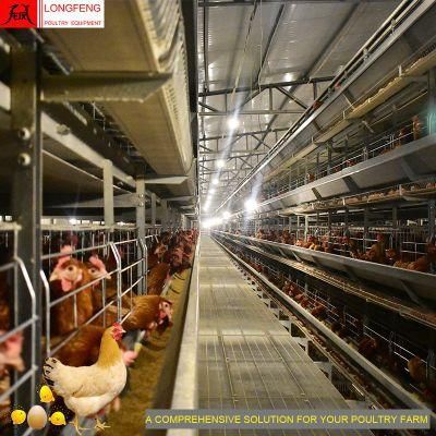 Customized Longfeng Computerized China Poultry Farm Egg Equipment Chicken Layer Battery Cage