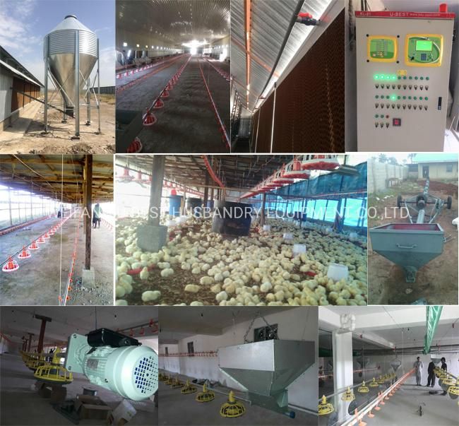 Turnkey Project for Poultry Farm Design with Prefab House Material and Automatic Chicken Farm Equipment