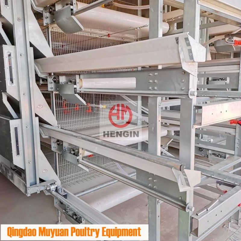 Completed Galvanized H Frame Battery Chicken Poultry Farm/Farming Livestock Machinery /Equipment for Meat Broiler Cage with Manual Birds-Harvest