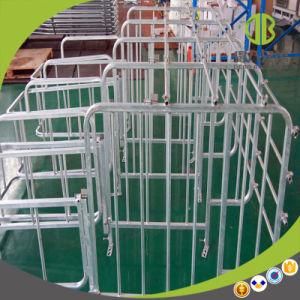 Wholesale Durable Pig Gestation Crates / Individual Stall Waiting for You