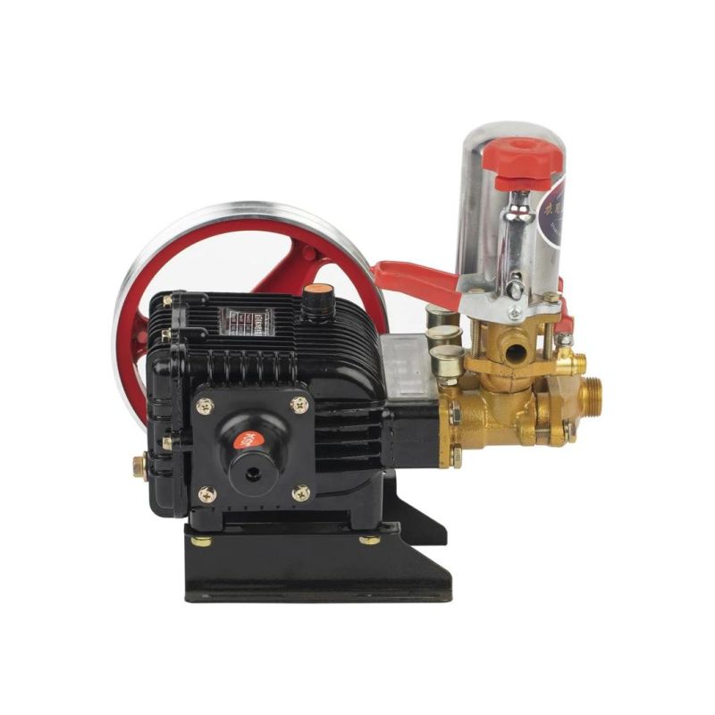 Gasoline Plunger Pump Farm Power Sprayer Sprayer Pump