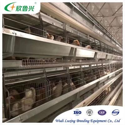 Large-Scale Fully Automatic Layer Breeding Cages for Battery Chicken Breeding in Poultry Farms