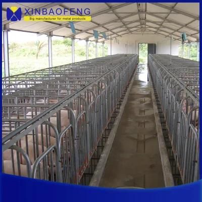 Pig Farrowing Pen Farrowing Cage Farrowing Crate for Sale