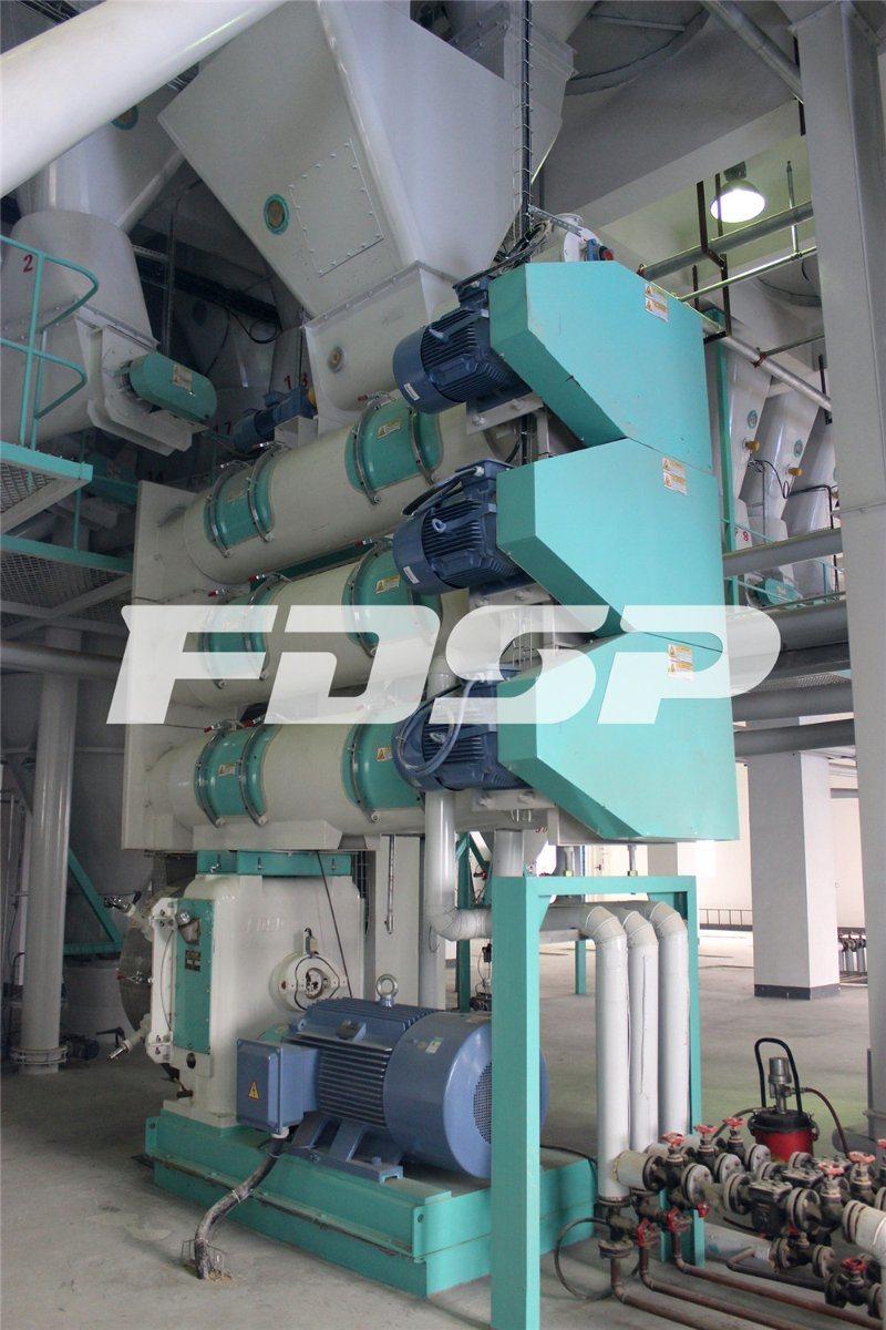 Stable Operation 3t Ouptput Sinking Aqua Feed Processing Production Line