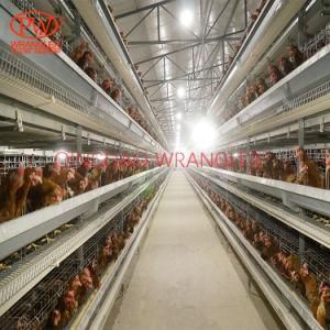 Layer Egg Chicken Cage/Poultry Farm House Design