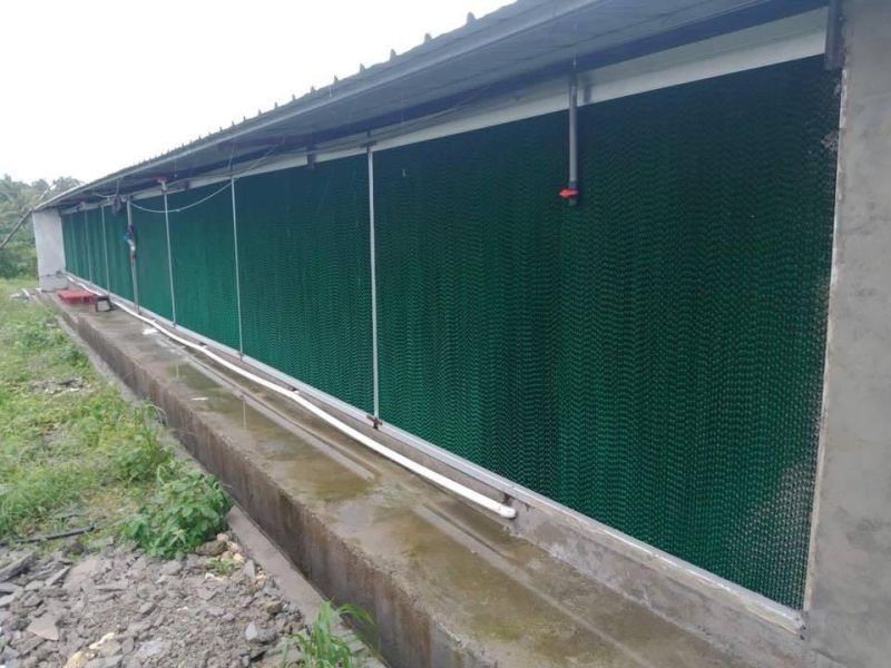 Complete Automatic Controlled Machinery Poultry Shed Farm Equipment for Chicken Broiler House