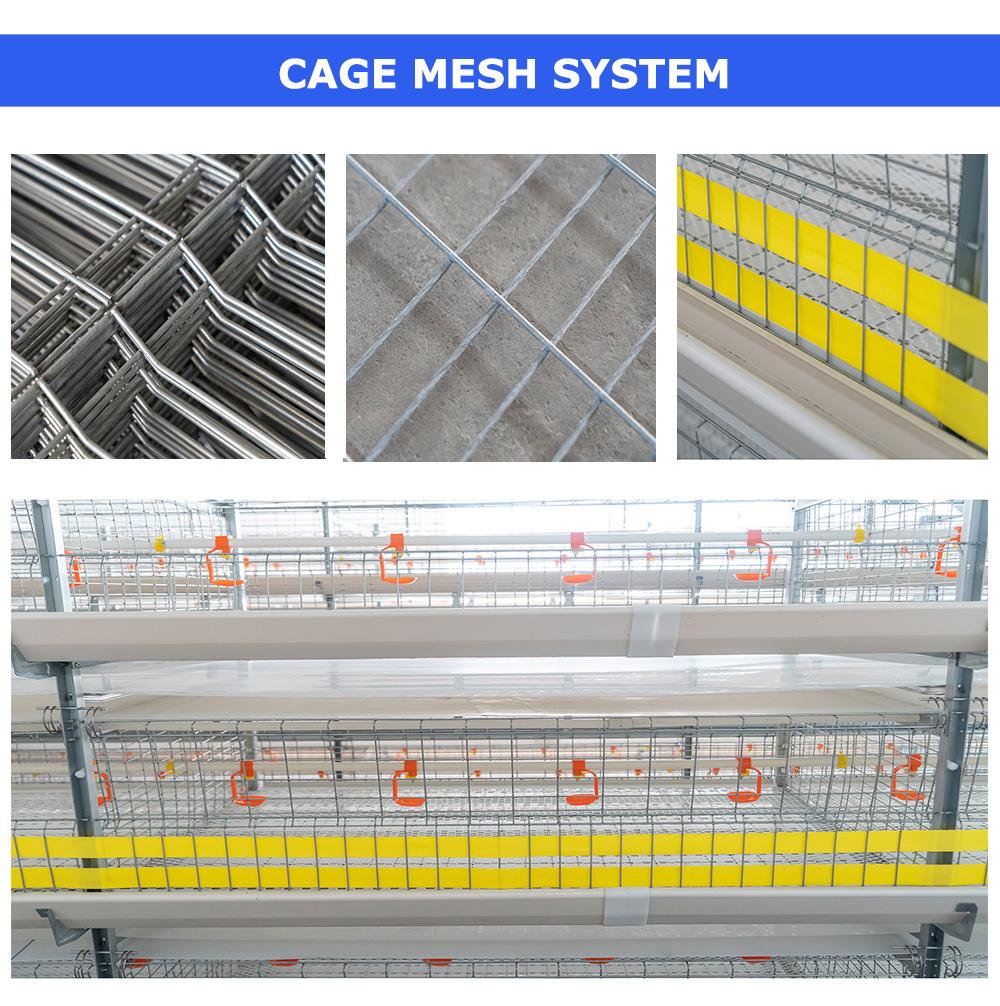 Frame Brooding Cage Animal Feeding System Advanced Automatic Broiler Chicks Rate for Nigeria / Uganda