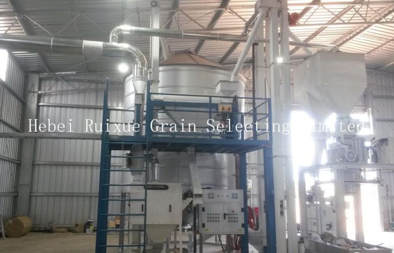 Quinoa Seed Cleaning and Processing Plant (5X)
