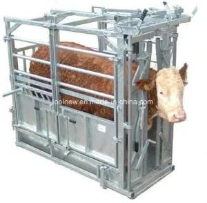 Livestock Animal Flat Packk Vet Hot DIP Galvanized Cattle Crush