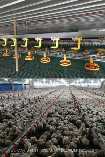 Good Price Poultry Farm House Design with Full Automatic Chicken Farm Equipment