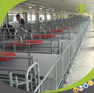 European Style Hot DIP Galvanized Farrowing Crate