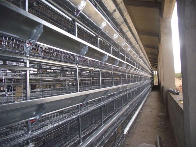 Steel Structure Henhouse From Qingdao Xgz