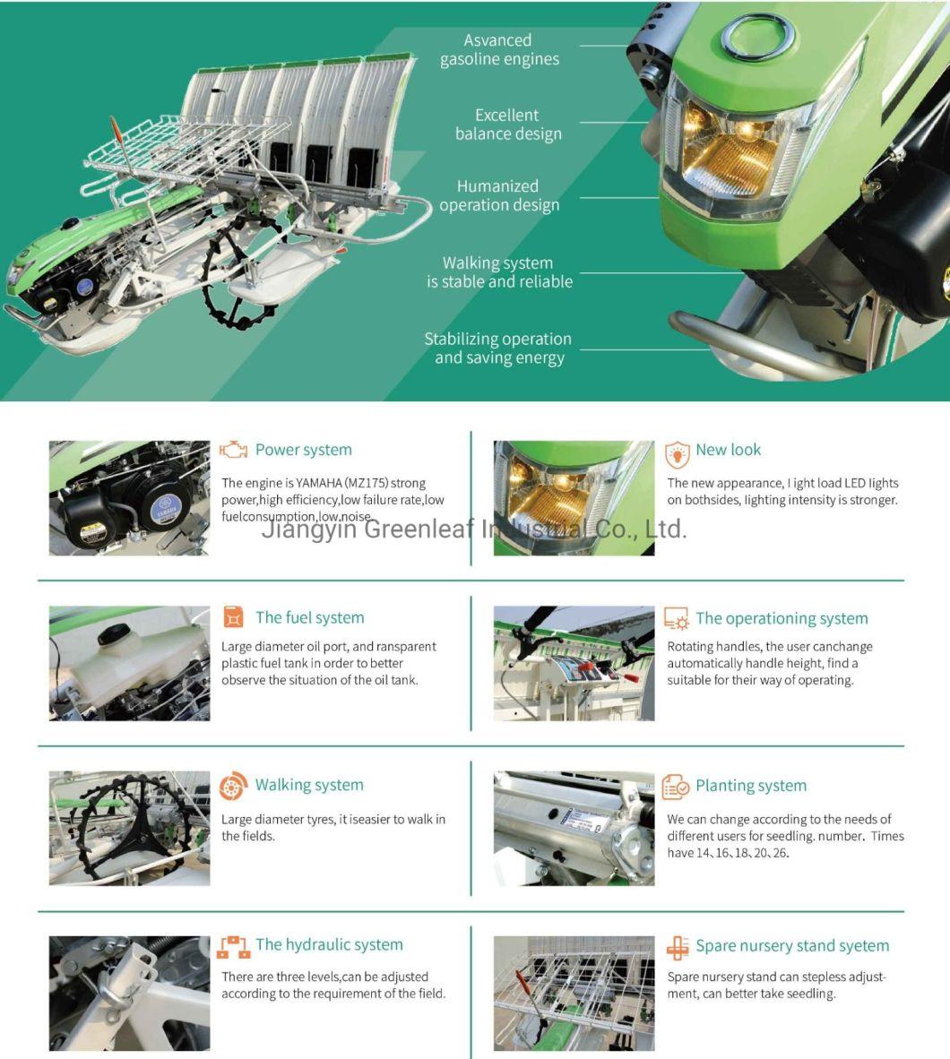 6 Rows 4 Rows Walking Type Paddy/Rice Transplanter Machine with YAMAHA Engine