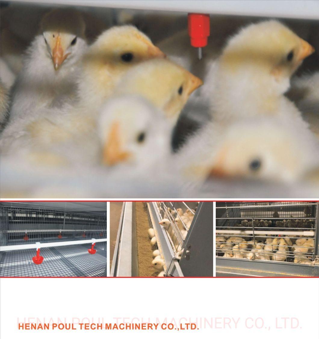 Best-Selling Type a and Type H Chicken Poultry Raising Equipment