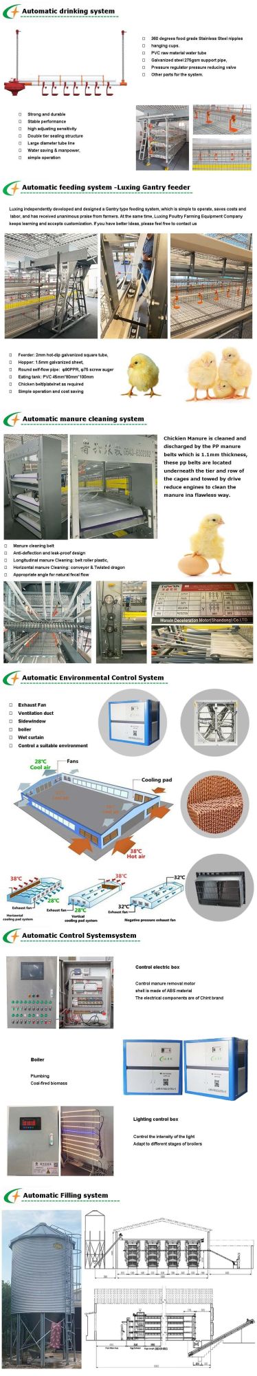 Poultry Farm Chicken Breeding Equipment with Automatic Control