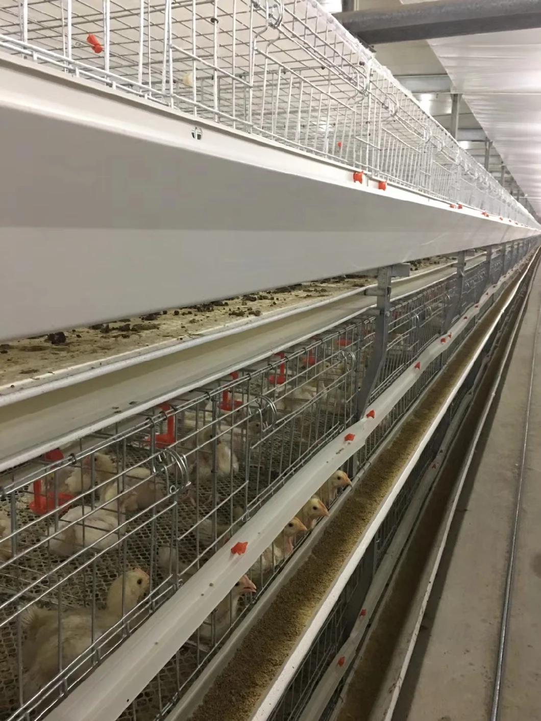 Factory Price Automatic Galvanized Farm Equipment Livestock Poultry Bird Battery Chicken Cages for Feeding Drinking for Chicken House/Broiler/Breeder/Layer