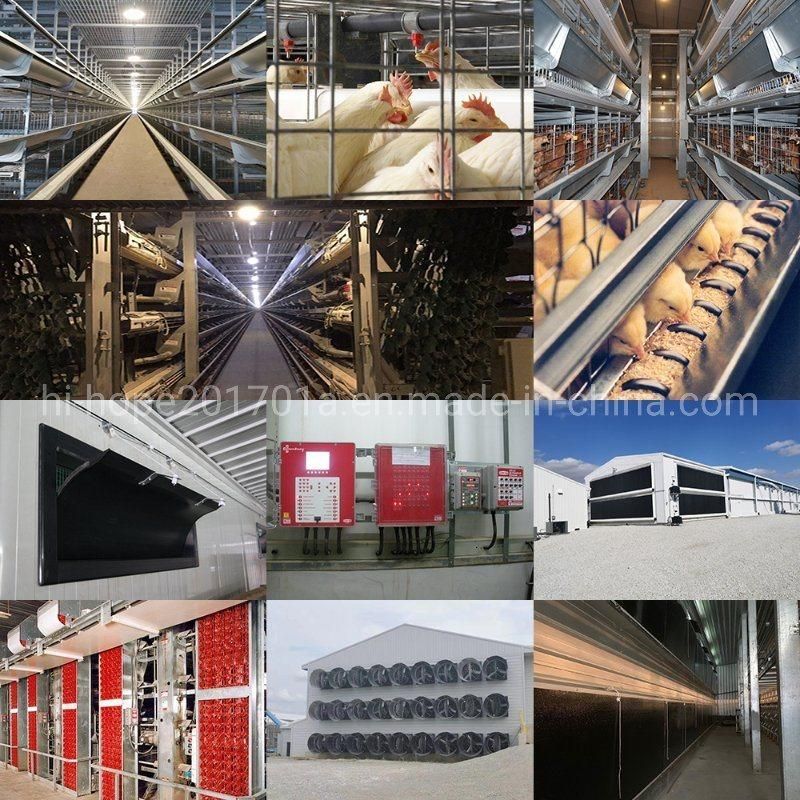 Chicken Poultry Farming Equipment Feeding System Broiler Pan