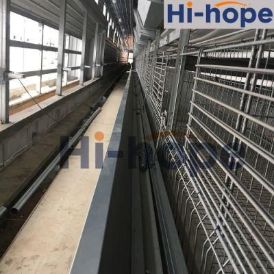 Layer Cage Farm Broiler Farm Breeder Farm Complete Equipment