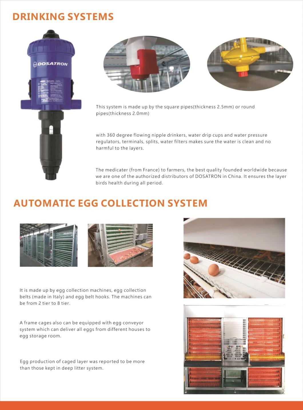 Hot Selling Type a Layer Cage Raising Equipment