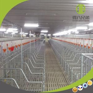 Professional Design Poultry Chain Disc Automatic Feeding System
