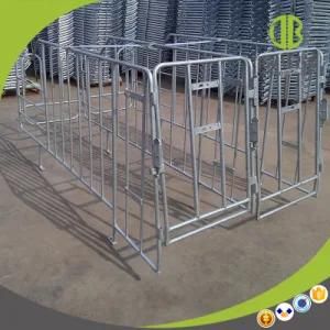 Deba Brother Customized Gestation Stall Using in Modern Pig Farm