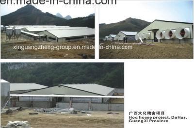 Steel Structure Piggery in China