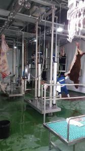 Religious Bovine Abattoir Equipment for 50 Heads Per Day