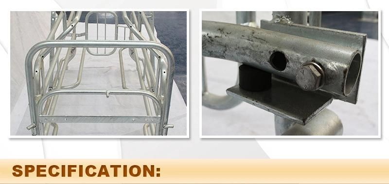 High Quality Pig Farming Equipment Sow Used Designed Pig Farrowing Stall