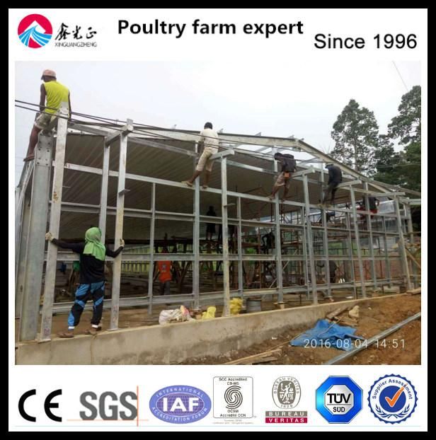 Chicen Farm Use Chicken House and Auto Equipment