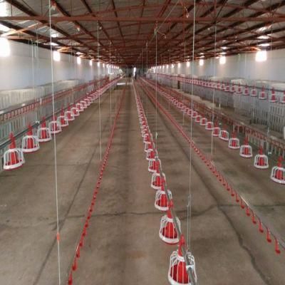 Ethiopia Chicken Farm Broiler House Automatic Poultry Equipment for Sale