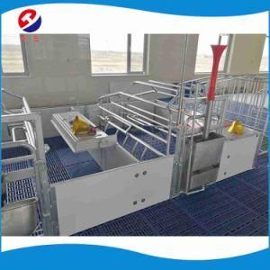 Farrowing Crates Pig Crates Made in China Hot DIP Galvanized Free Sample