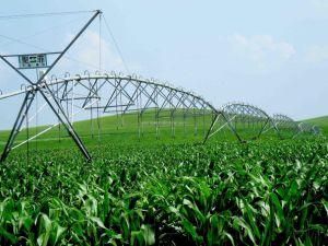 China Dyp Series Farm Machine Center Pivot Irrigation System