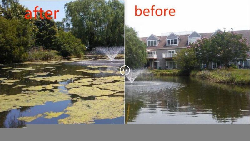 Fast Moving Weed Harvesters/High Quality Aquatic Vegetation Cutting for Sale