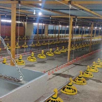 CE Qualified Automatic Poultry Farm Machinery High Broiler Chicks Rate