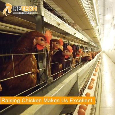 Egg Layer Chicken Battery Cage Poultry Equipment