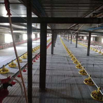 Poultry Chicken Broiler Automatic Breeding Equipment