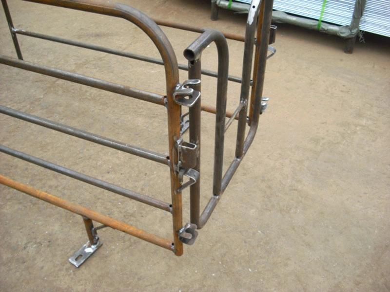 Pig Farming Equipment Durable Gestation Stalls