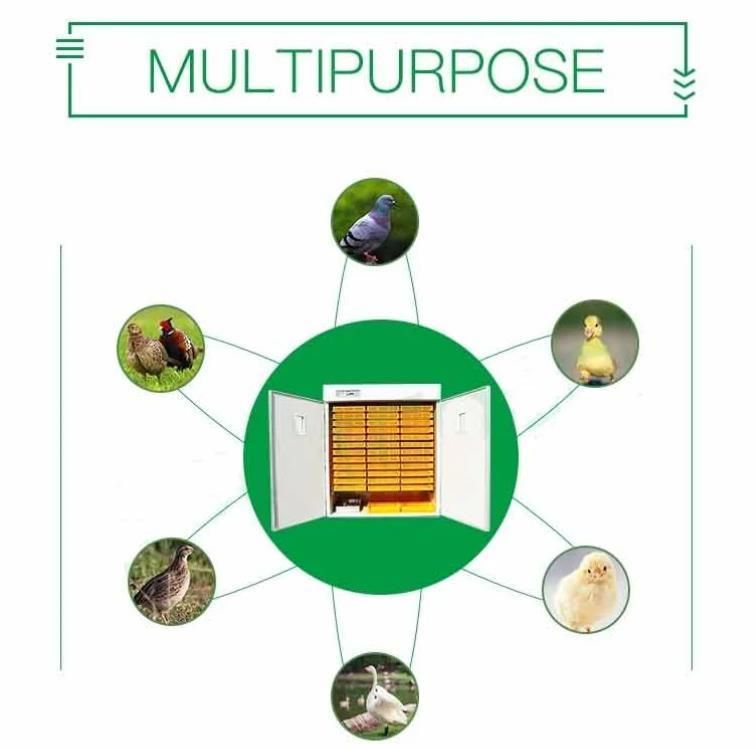 Bird/Goose/Chicken/Duck Egg Incubator