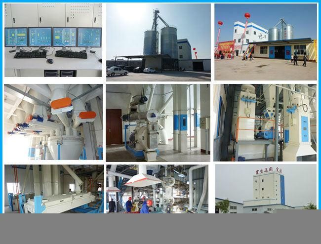 CE Passed Poultry Feed Mill and Mixer Machine with Best Price