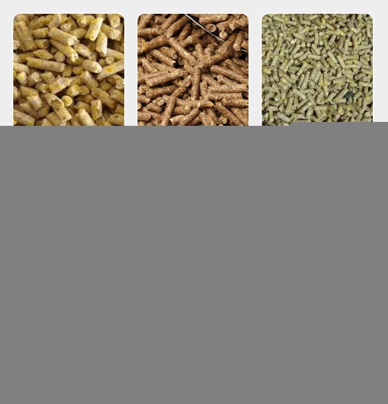 Small Poultry Feed Granulator Electric Motor Feed Pellet Machine