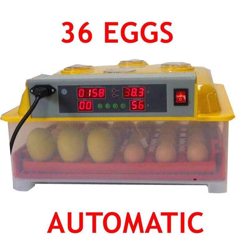 Full Automatic Holding 36 Eggs Energy Saving Durable Power Small Chicken Egg Incubator